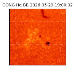 gong - 2026-05-29T19:00:02