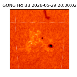 gong - 2026-05-29T20:00:02