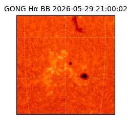 gong - 2026-05-29T21:00:02
