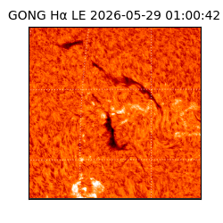 gong - 2026-05-29T01:00:42