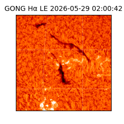 gong - 2026-05-29T02:00:42