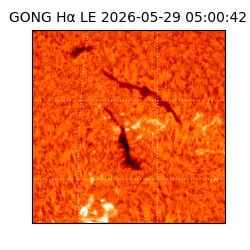 gong - 2026-05-29T05:00:42