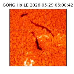 gong - 2026-05-29T06:00:42