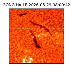 gong - 2026-05-29T08:00:42