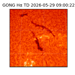 gong - 2026-05-29T09:00:22