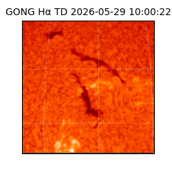 gong - 2026-05-29T10:00:22