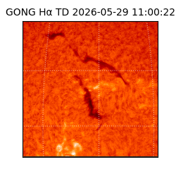 gong - 2026-05-29T11:00:22