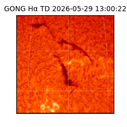 gong - 2026-05-29T13:00:22