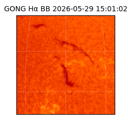 gong - 2026-05-29T15:01:02