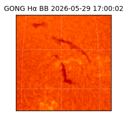 gong - 2026-05-29T17:00:02