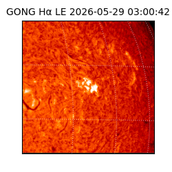 gong - 2026-05-29T03:00:42