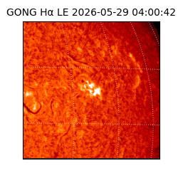 gong - 2026-05-29T04:00:42