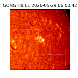 gong - 2026-05-29T06:00:42