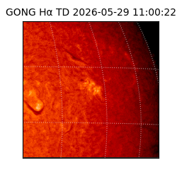 gong - 2026-05-29T11:00:22