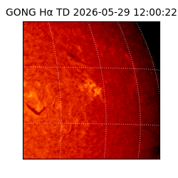 gong - 2026-05-29T12:00:22