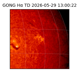 gong - 2026-05-29T13:00:22