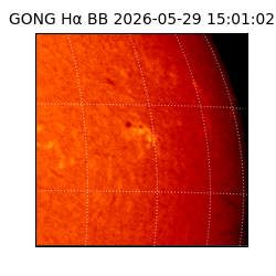 gong - 2026-05-29T15:01:02