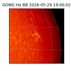 gong - 2026-05-29T19:00:02