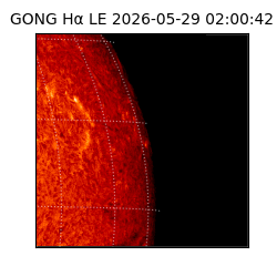 gong - 2026-05-29T02:00:42