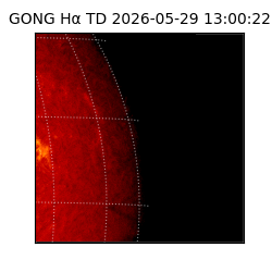 gong - 2026-05-29T13:00:22