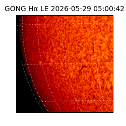 gong - 2026-05-29T05:00:42