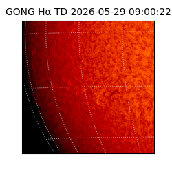 gong - 2026-05-29T09:00:22