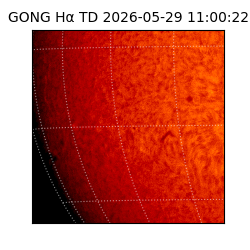gong - 2026-05-29T11:00:22