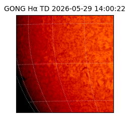 gong - 2026-05-29T14:00:22