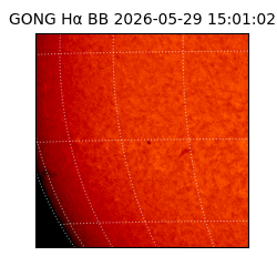 gong - 2026-05-29T15:01:02