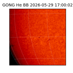 gong - 2026-05-29T17:00:02