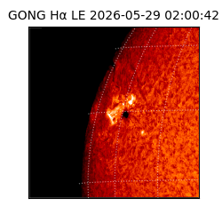 gong - 2026-05-29T02:00:42
