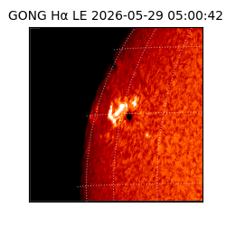 gong - 2026-05-29T05:00:42