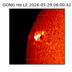 gong - 2026-05-29T06:00:42
