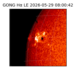 gong - 2026-05-29T08:00:42