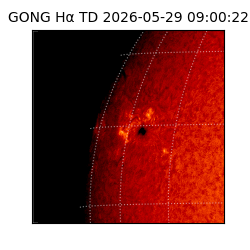 gong - 2026-05-29T09:00:22