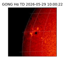 gong - 2026-05-29T10:00:22