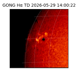 gong - 2026-05-29T14:00:22