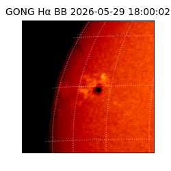 gong - 2026-05-29T18:00:02