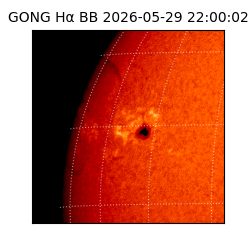 gong - 2026-05-29T22:00:02