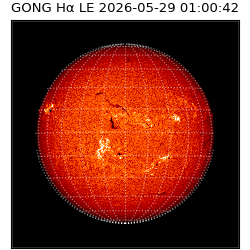 gong - 2026-05-29T01:00:42