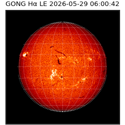 gong - 2026-05-29T06:00:42