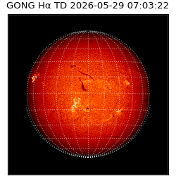 gong - 2026-05-29T07:03:22