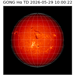 gong - 2026-05-29T10:00:22