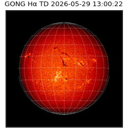 gong - 2026-05-29T13:00:22