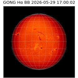 gong - 2026-05-29T17:00:02