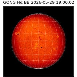gong - 2026-05-29T19:00:02