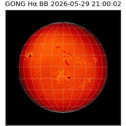 gong - 2026-05-29T21:00:02