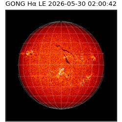 gong - 2026-05-30T02:00:42
