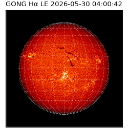 gong - 2026-05-30T04:00:42