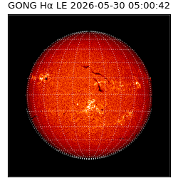 gong - 2026-05-30T05:00:42